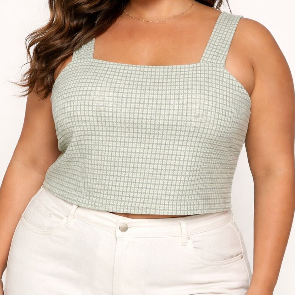 American Eagle Plaid Large Crop Top